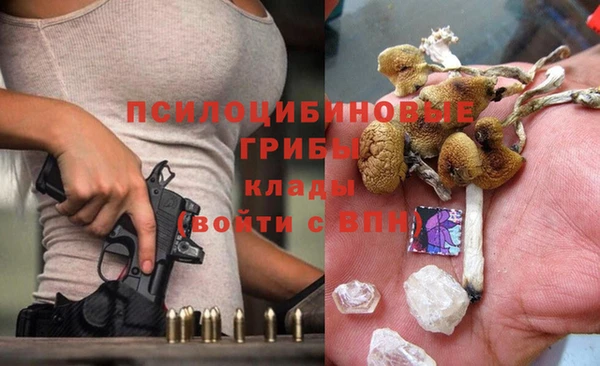 дживик Алзамай