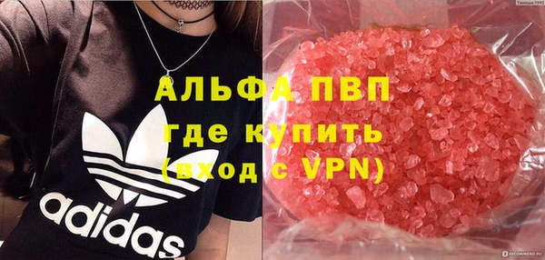сатива Алексеевка