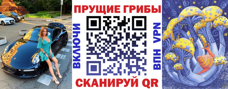 Галлюциногенные грибы Magic Shrooms  OMG как войти  Сясьстрой 